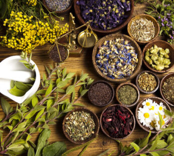 KB NATURAL PRODUCTS