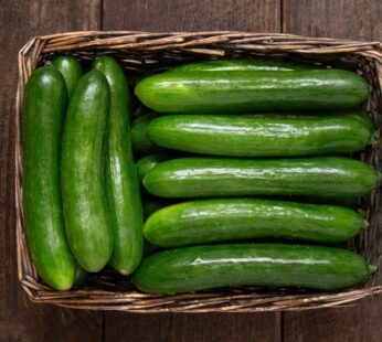 CUCUMBER