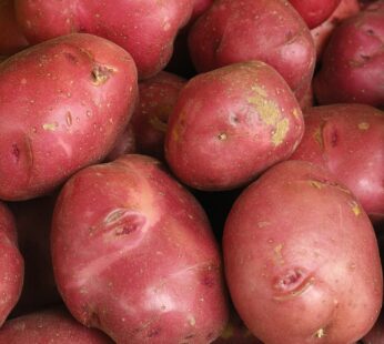 RED POTATO 10/2