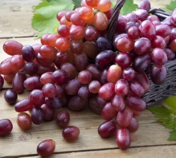RED GRAPES