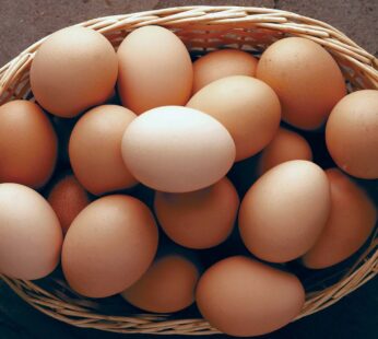 Eggs
