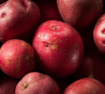 RED POTATO 4/5