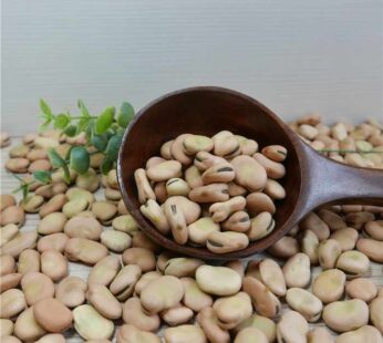 Plain Fava Beans 100G