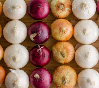 ONION