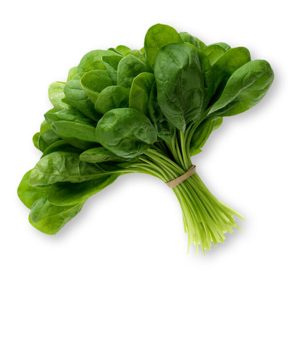 SPINACH