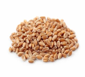 WHOLE WHEAT 1KG