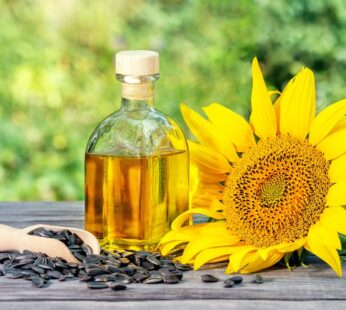 Sunflower Oil