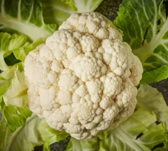 CAULIFLOWER