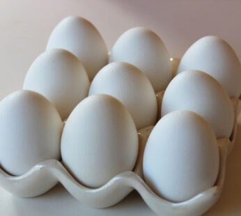 eggs large 12