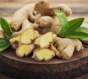 GINGER