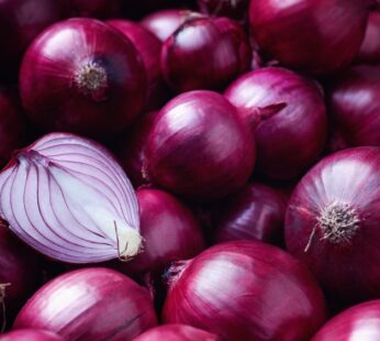 RED ONION