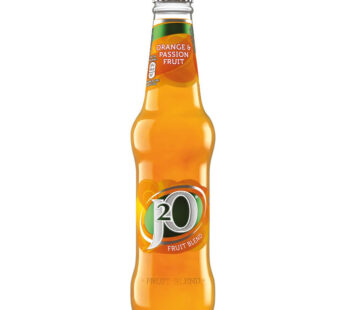 J20