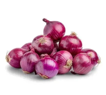 ONION