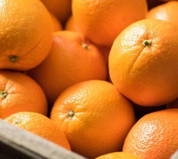 ORANGE 3 FOR 」1.20