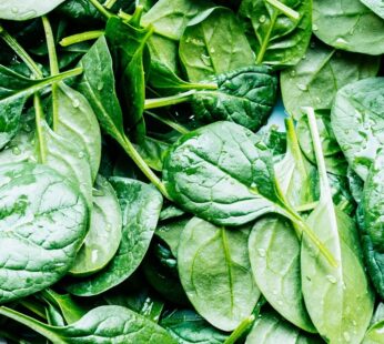 SAAG